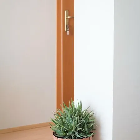公寓 Studio Apartman Bova