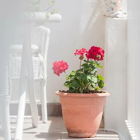 Studio Apartman Bova * 赫瓦尔